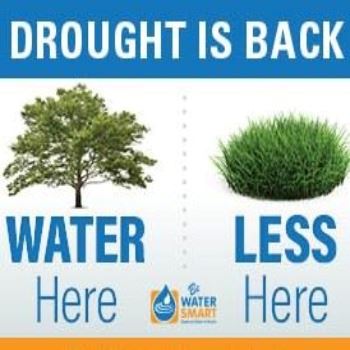 Drought is back. Water trees more and lawns less.