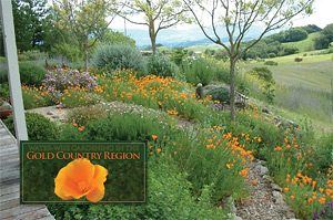 Gold Country Region